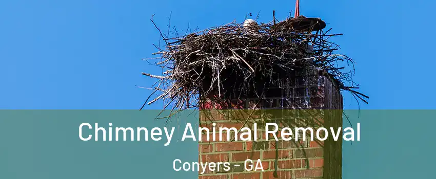  Chimney Animal Removal Conyers - GA