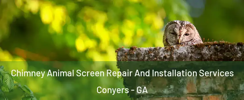  Chimney Animal Screen Repair And Installation Services Conyers - GA