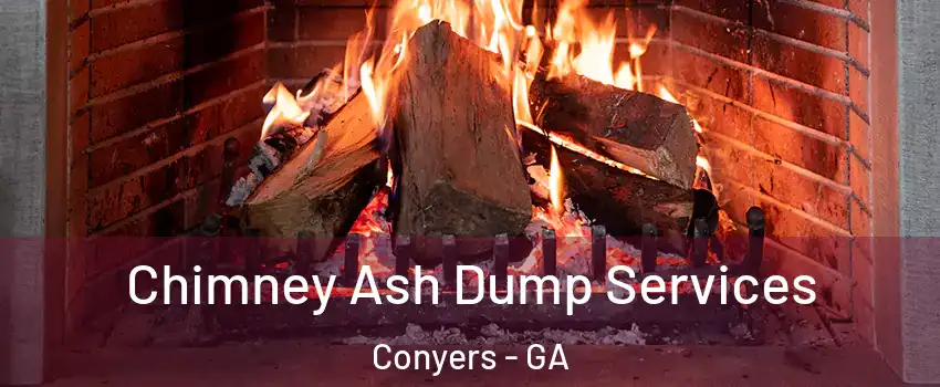  Chimney Ash Dump Services Conyers - GA