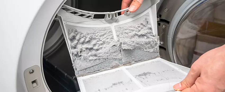 Best Dryer Lint Removal Company in Conyers, Georgia