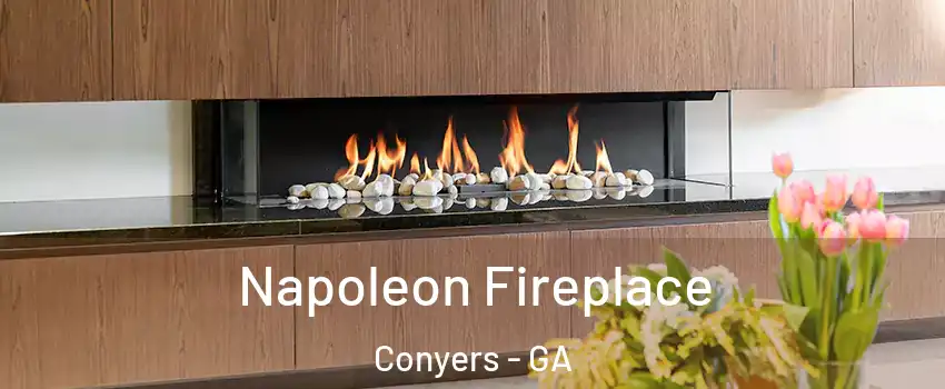  Napoleon Fireplace Conyers - GA